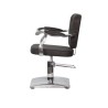 Sillon Peluqueria Artemisa