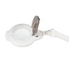 Lampara Lupa LED de Estetica con Pie 5 aumentos CRUX