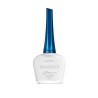 Masglo Esmalte Ejecutiva