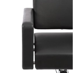 Sillon Peluqueria Alaska