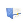 Crema Hidratante Azuleno y Acido Hialuronico 200 ml