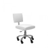 Taburete Con Respaldo Gordon XS Blanco