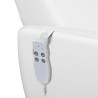 Sillon Pedicura Spa Freddie Blanco