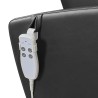 Sillon Pedicura Spa Freddie Negro