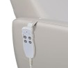 Sillon Pedicura Spa Freddie Gris