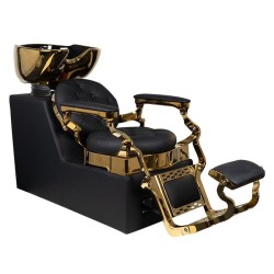 Lavacabezas Peluqueria Zeus Gold