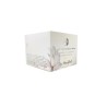 Crema Regeneradora y Retinol 200 ml