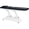 Marquesa de Massagem Eléctica 1 Motor Sagitarius Preta