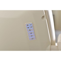 Marquesa Estética Elétrica 4 Motores Cygnus Beige