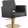 Silla Peluqueria Drim Negra Base Redonda Dorada