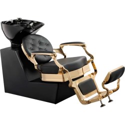 Lavacabezas Peluqueria Galaxy Gold