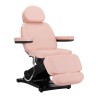 Marquesa Estética Elétrica 3 Motores Zeni Rosa