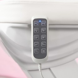 Marquesa Elétrica Oasis Cinzento 4 motores com Aquecimento