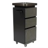 Carrinho de Cabeleireiro QSTONE Preto