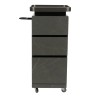 Carrinho de Cabeleireiro QSTONE Preto
