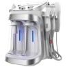 Hydra Beauty Facial 6 em 1