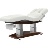 Camilla Masaje Spa de Madera 4 Motores Troch Base Oscura