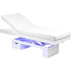 Camilla Eléctrica Spa con Calefaccion Limb Warm