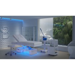 Camilla Eléctrica Spa con Calefaccion Limb Warm