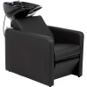 Lavacabezas Peluqueria Electrico Anoc Negro Pica Negra