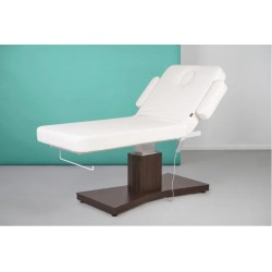 Camilla Masaje Spa Electrica 1 Motor Goid Blanca Base Oscura