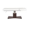 Camilla Masaje Spa Electrica 1 Motor Goid Blanca Base Oscura