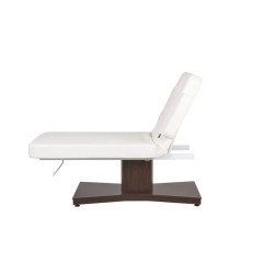 Camilla Masaje Spa Electrica 1 Motor Goid Blanca Base Oscura