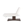 Camilla Masaje Spa Electrica 1 Motor Goid Blanca Base Oscura