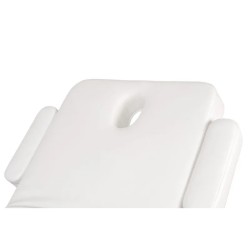 Camilla Masaje Spa Electrica 1 Motor Goid Blanca Base Oscura