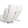 Camilla Masaje Spa Electrica 1 Motor Goid Blanca Base Oscura
