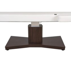 Camilla Masaje Spa Electrica 1 Motor Goid Blanca Base Oscura