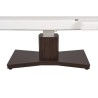 Camilla Masaje Spa Electrica 1 Motor Goid Blanca Base Oscura