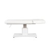 Camilla Masaje Spa Electrica 1 Motor Goid Blanca Base Blanca