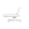 Camilla Masaje Spa Electrica 1 Motor Goid Blanca Base Blanca