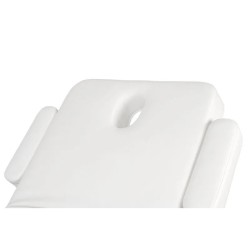 Camilla Masaje Spa Electrica 1 Motor Goid Blanca Base Blanca