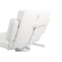 Camilla Masaje Spa Electrica 1 Motor Goid Blanca Base Blanca
