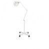 Lampara Lupa LED de Estetica con Pie 3 aumentos Broad
