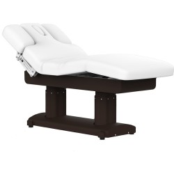 Camilla Masaje Spa Electrica  4 Motores Phen Base Wengue con Calefacci