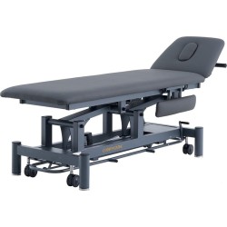 Marquesa Elétrica para Tratamento de Osteopatia Cinzento Roth