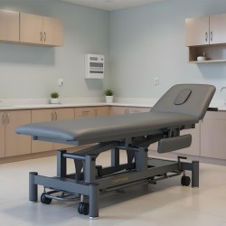 Marquesa Elétrica para Tratamento de Osteopatia Cinzento Roth