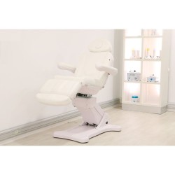 Camilla Estetica Electrica 3 Motores Tempo