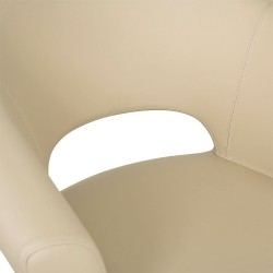 Sillon de  Peluqueria COSMO Beige