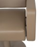 Sillon de Peluqueria FLIRTY Marron Tierra
