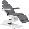 Camilla Ginecológica SIMUS Gris Weelko 4 motores
