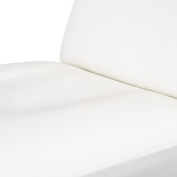 Camilla Estética Electrica 3 Motores Vome Smart